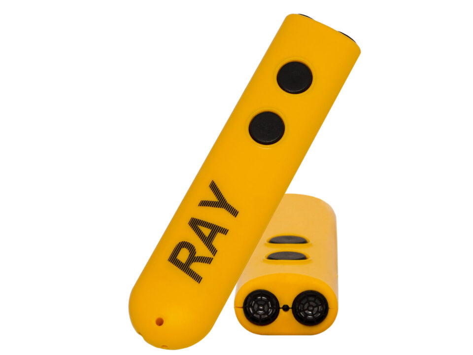 Ray   Powered Mobility Guide